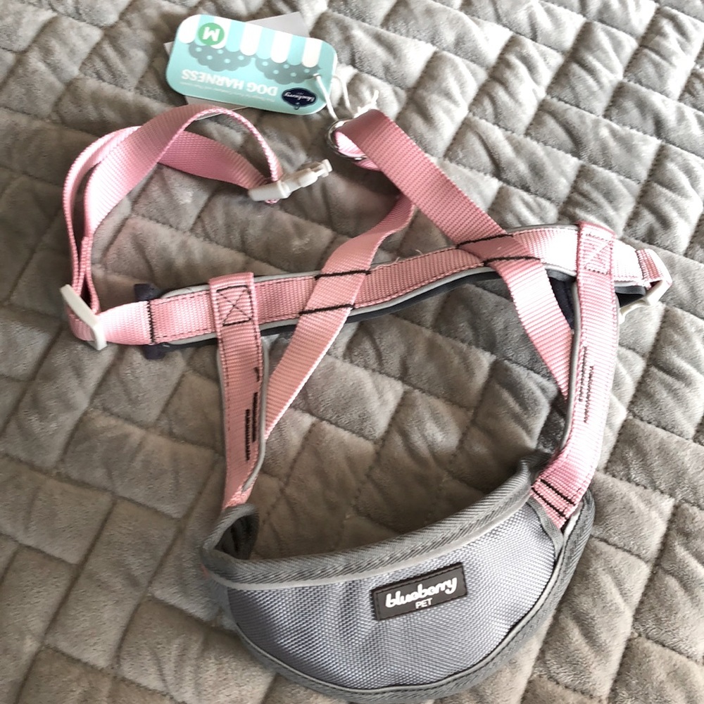Blueberry Dog Harness